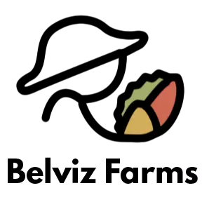 Belviz-logo-1